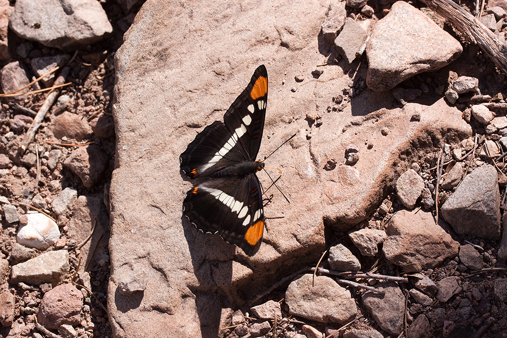 27_Big Bend National Park_11.jpg